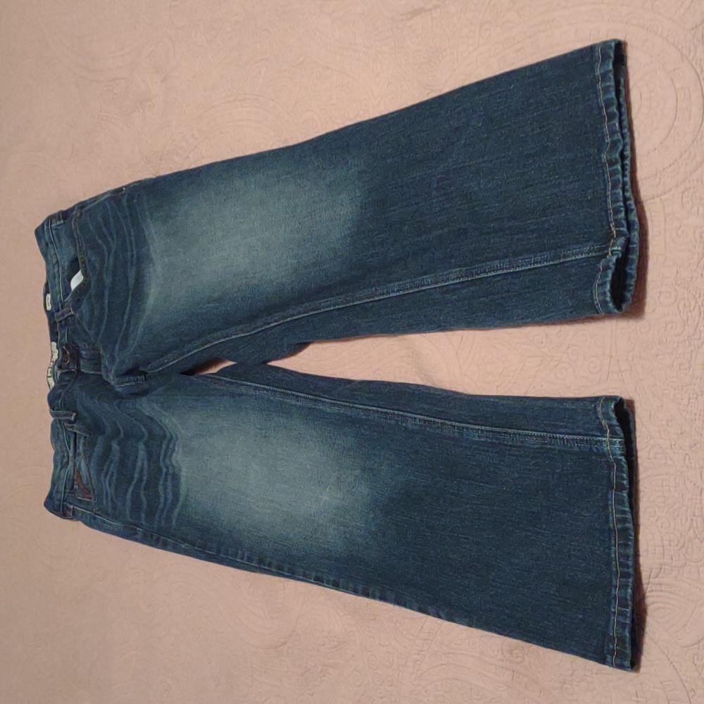 Men's Ariat jeans